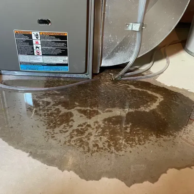 Appliance Leak Cleanup in Manchester, MO